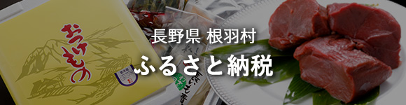 長野県根羽村 ふるさと納税